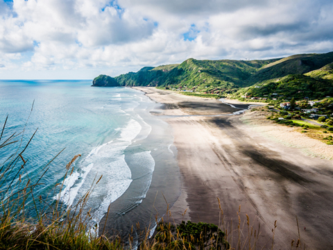软件平台正规的ddos工具下载